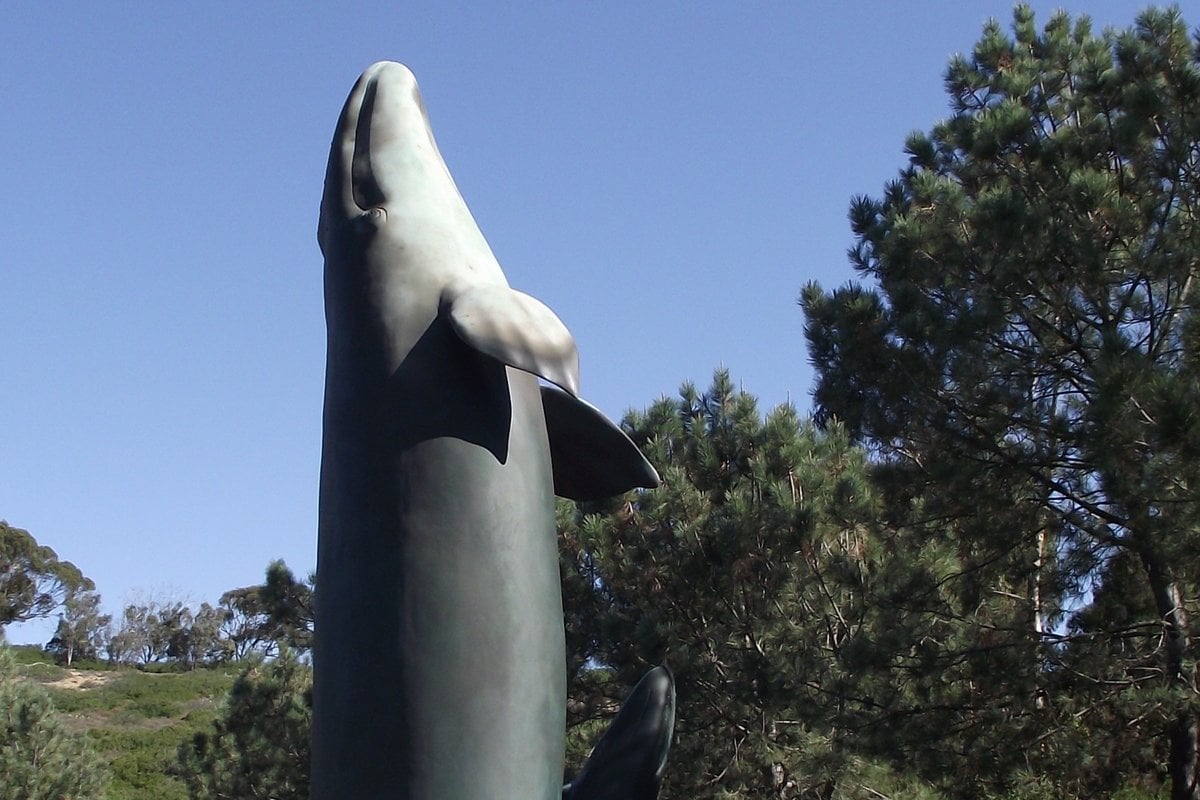 Birch Aquarium - Gallery Image 2